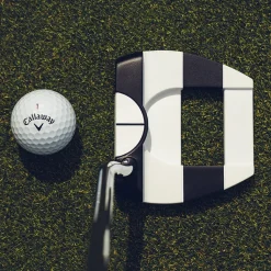 Ai-DUAL Jailbird 1/2 Ball Cruiser DB Putter