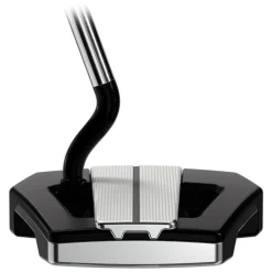Allan Putter