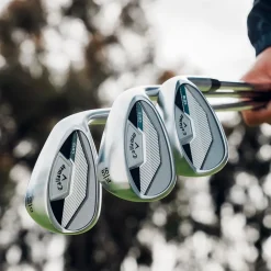 CB 12 Wedge Dame