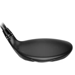 DS-Adapt LS Titanium Wood