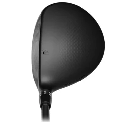 DS-Adapt LS Titanium Wood