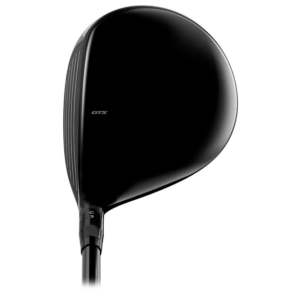 GTS300 Mini Driver