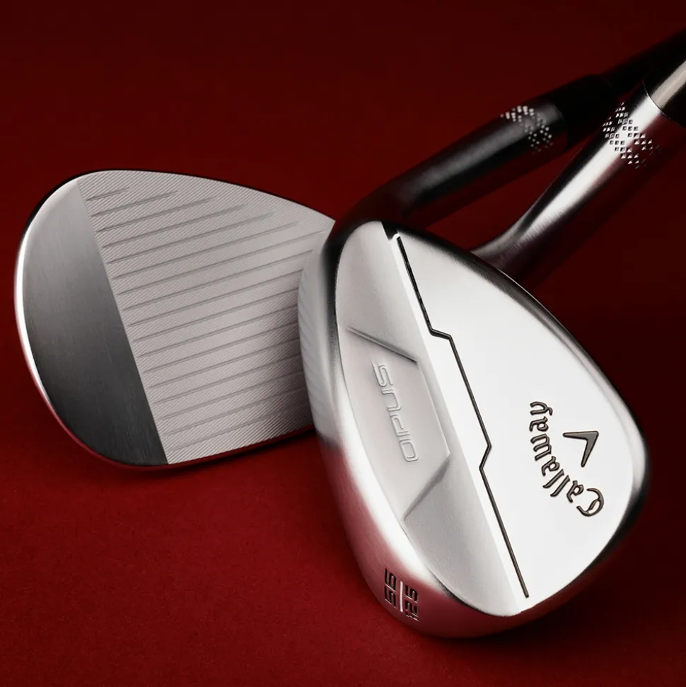 Opus Brushed Chrome Wedge Dame