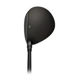 Qi4D Tour Wood