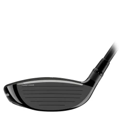 Qi4D Tour Wood