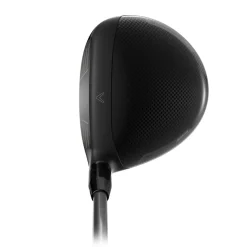 Quantum Max D Wood