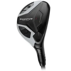 Quantum Max Fast Hybrid