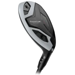 Quantum Max Fast Hybrid