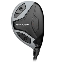 Quantum Max Fast Hybrid Dame
