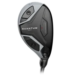 Quantum Max Hybrid
