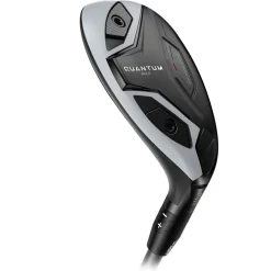 Quantum Max Hybrid