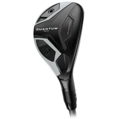 Quantum Max Hybrid Dame
