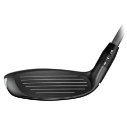 Quantum Max Hybrid Dame