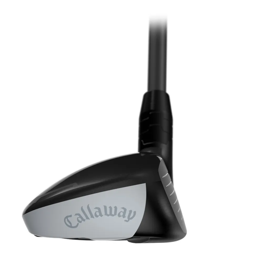 Quantum Max Hybrid Dame