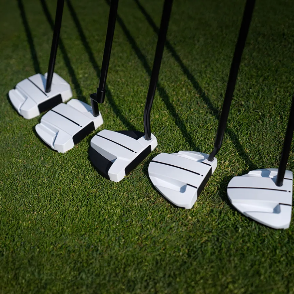 Scottsdale TEC Ally Blue CB Putter